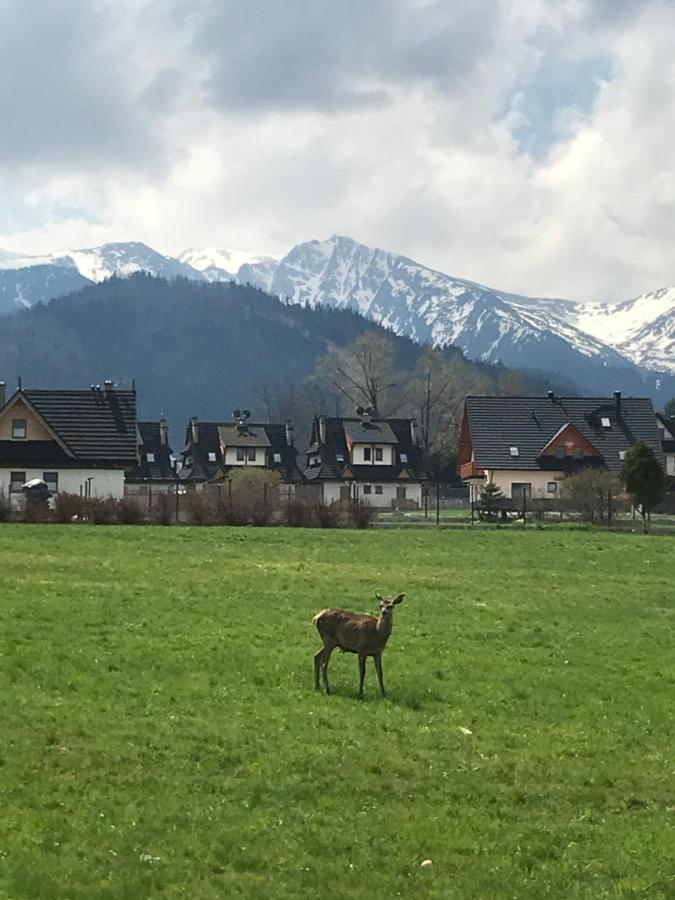 Villa Jumper Widok Na Cale Tatry Lazienka Nie Jest W Pokoju Zakopane Luaran gambar